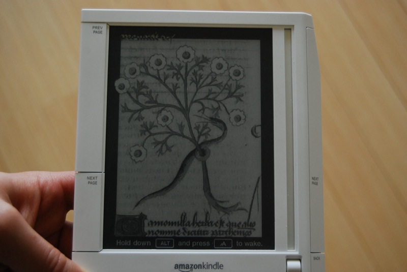 Illustration for article titled Amazon Kindle Real-Life Review (Verdict: Lightweight, Long Lasting and Easy to Grip... In Bed)
